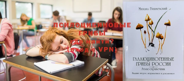 гидра Богородицк