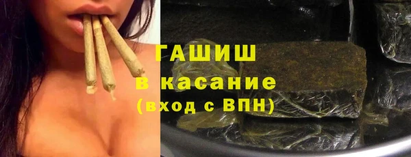 гидра Богородицк