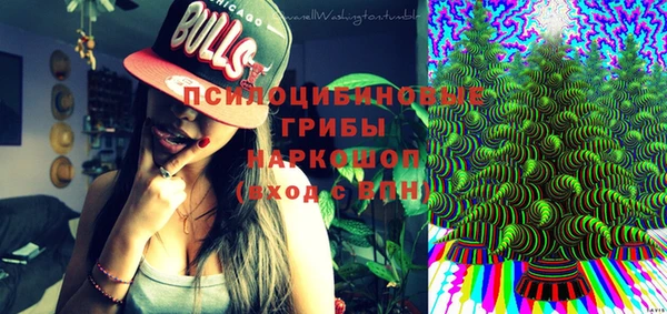 синтетический гашиш Богданович