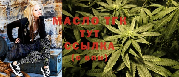 гидра Богородицк