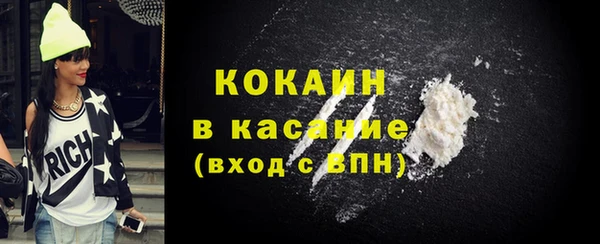 гидра Богородицк