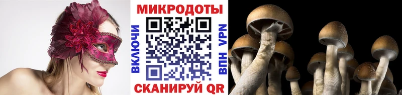 Псилоцибиновые грибы Magic Shrooms  blacksprut как зайти  Торопец 