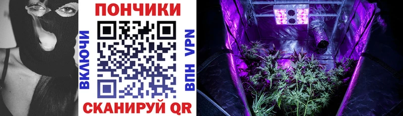 где купить наркоту  Торопец  Марихуана VHQ 